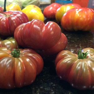 Tims Black Ruffles Heirloom Tomato Premium Seed Packet