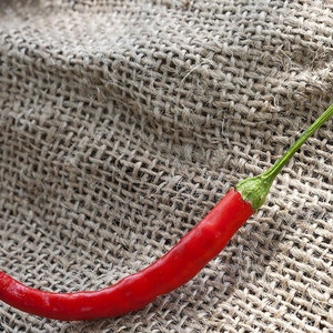 Chili De Arbol boom Chili vogels snavel peper Premium zaad Packet