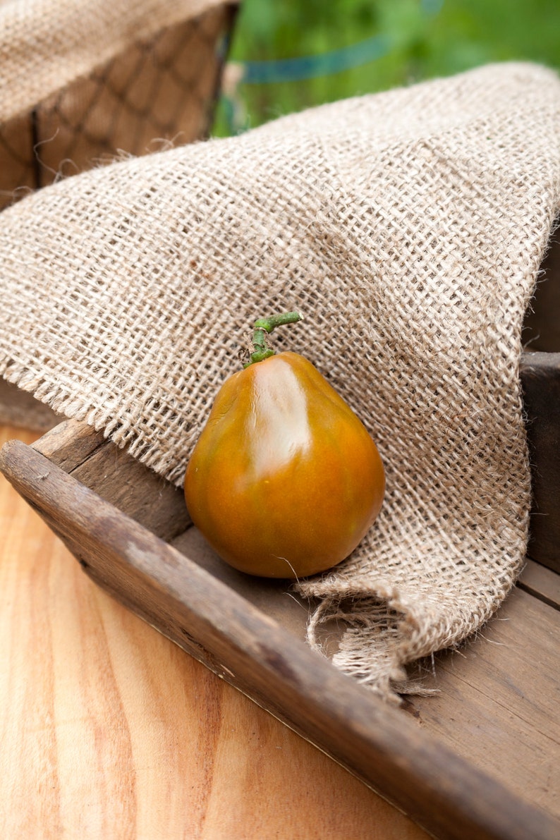 Japanese Trifele Truffle Black Heirloom Tomato Premium Seed Etsy