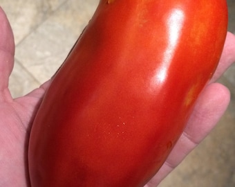 San Marzano Redorta Heirloom Tomaat Premium Zaadpakket