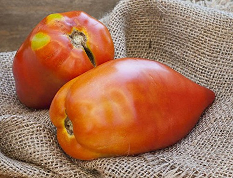 San Marzano Redorta Heirloom Tomato Premium Seed Packet image 3