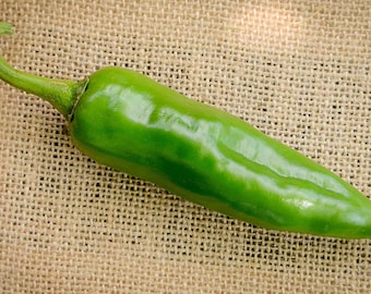 Może przedstawiać: Jasnozielony papryka chili z zakrzywionym ogonkiem, leżący na brązowej powierzchni z juty.