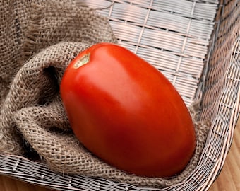 Romeo Roma Huge Italian Paste Heirloom Tomato Premium Seed Packet