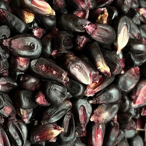 May include: A close-up view of a pile of black corn kernels. The kernels are plump and have a deep purple hue.