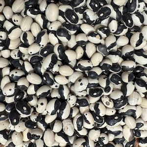 May include: A close-up view of a pile of black and white speckled beans. The beans are oval-shaped and have a smooth texture.
