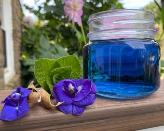 Blue butterfly pea tea seeds double flowered premium seed packet