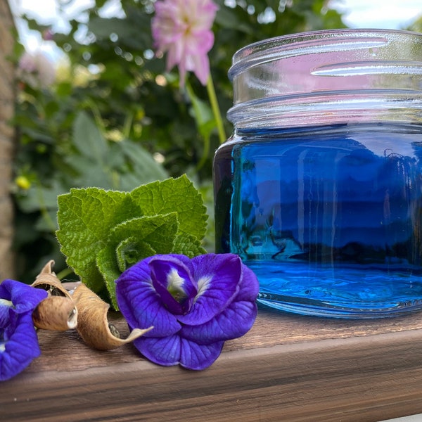 Blue butterfly pea tea seeds double flowered premium seed packet