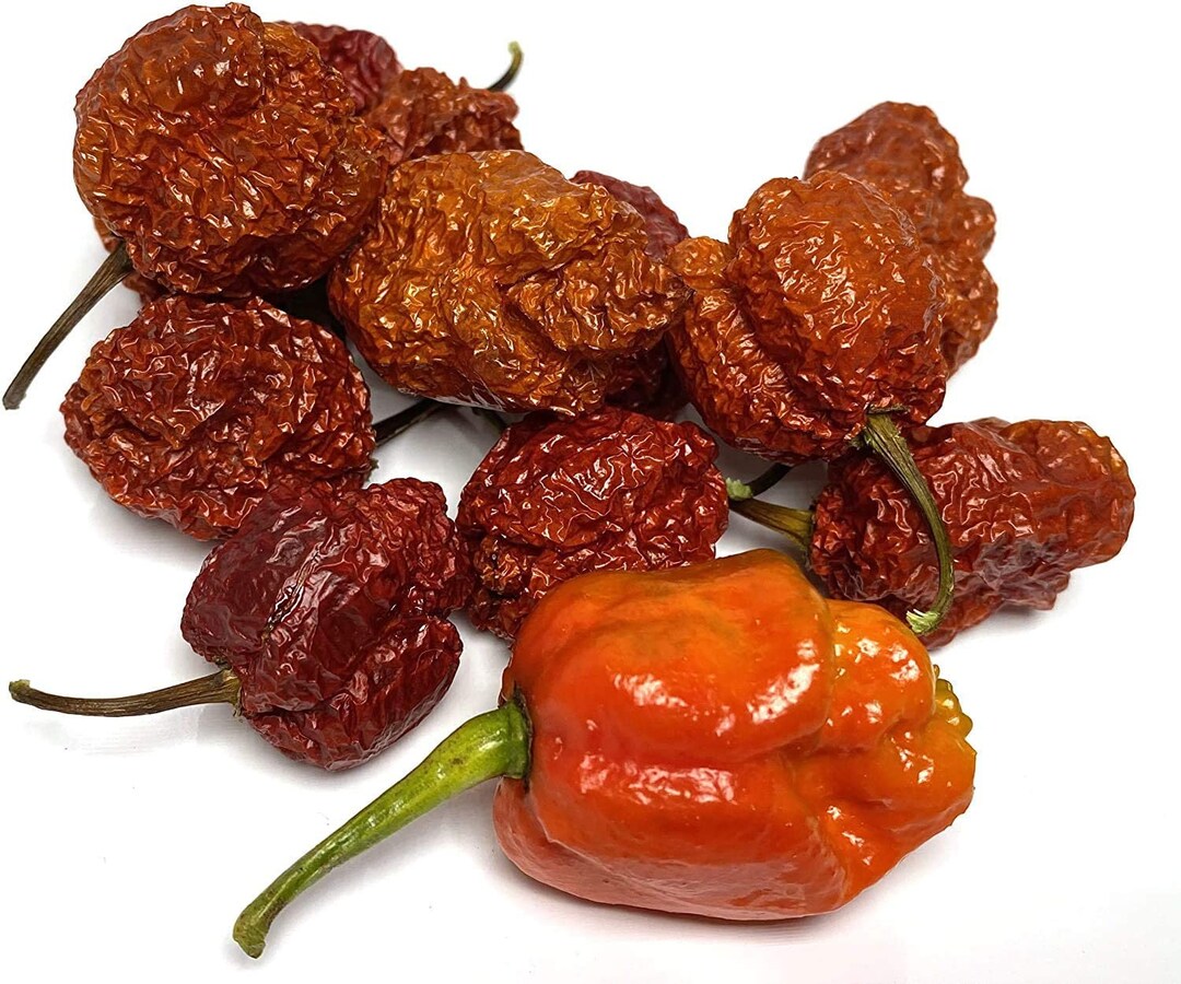 Apocalypse Pepper Ultra Hot Pepper Premium Seed Packet Etsy