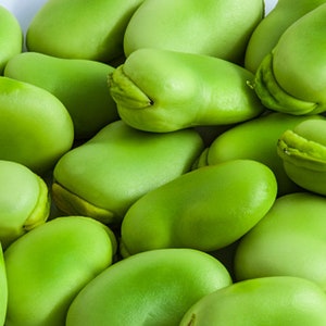 Könnte beinhalten: Nahaufnahme eines Stapels frischer, grüner Saubohnen. Die Bohnen sind prall und glatt, mit einem leicht zugespitzten Ende.