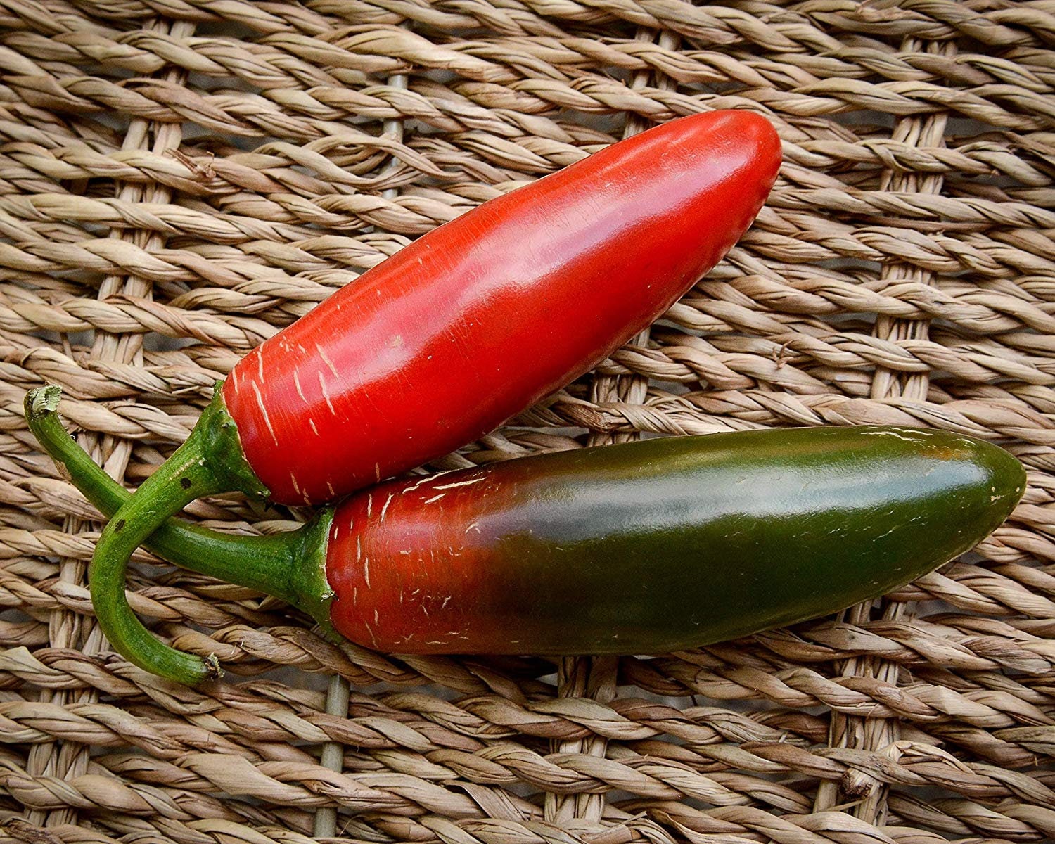 Sport Pepper Premium Seed Packet Record Hottest in the World + More - Etsy