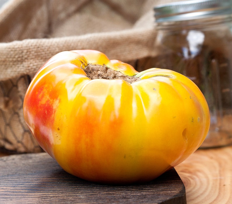 Hawaiian Pineapple Heirloom Tomato Premium Seed Packet