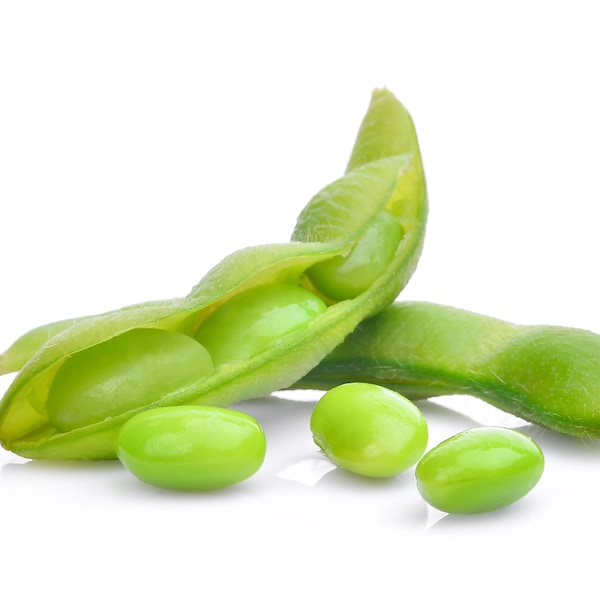 Edamame BeSweet 292 Soybean Pod Premium Seed Packet