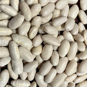 Sorana Cannellini Bean Italian Heirloom Seed Packet