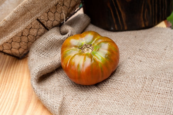 50 CHOCOLATE STRIPES TOMATO Brown with Green Lycopersicon Fruit Vegetable Seeds