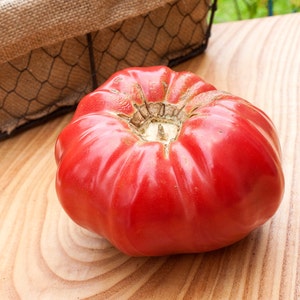 Pode incluir: Um tomate vermelho grande de herança com uma forma redonda profunda e uma superfície ligeiramente enrugada. O tomate está sentado em uma mesa de madeira.