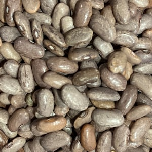 May include: A close-up view of a pile of dried pinto beans. The beans are a mottled brown and white color.