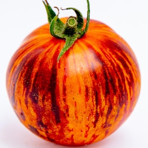 Puede incluir: Un tomate rayado con rayas naranjas y rojo oscuro. El tomate tiene un tallo verde y está sobre un fondo blanco.