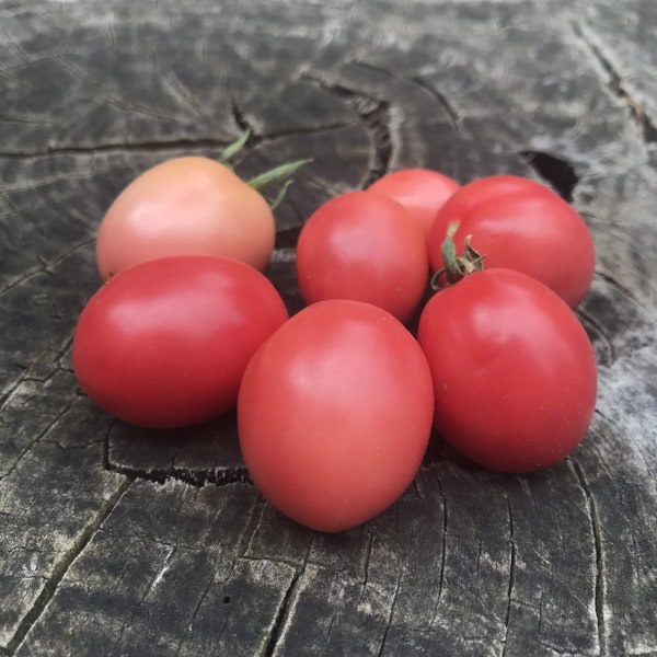 Thai Pink Egg Grape Tomato Premium Seed Packet