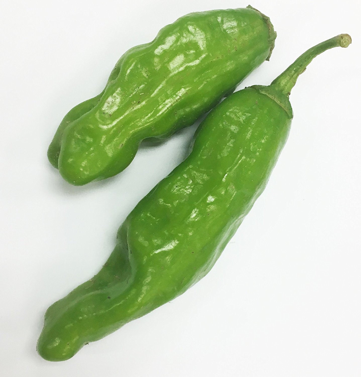 Shishito pepper plant - Etsy 日本