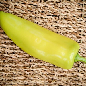 Sweet Banana Yellow Wax Chili Pepper Premium Seed Packet