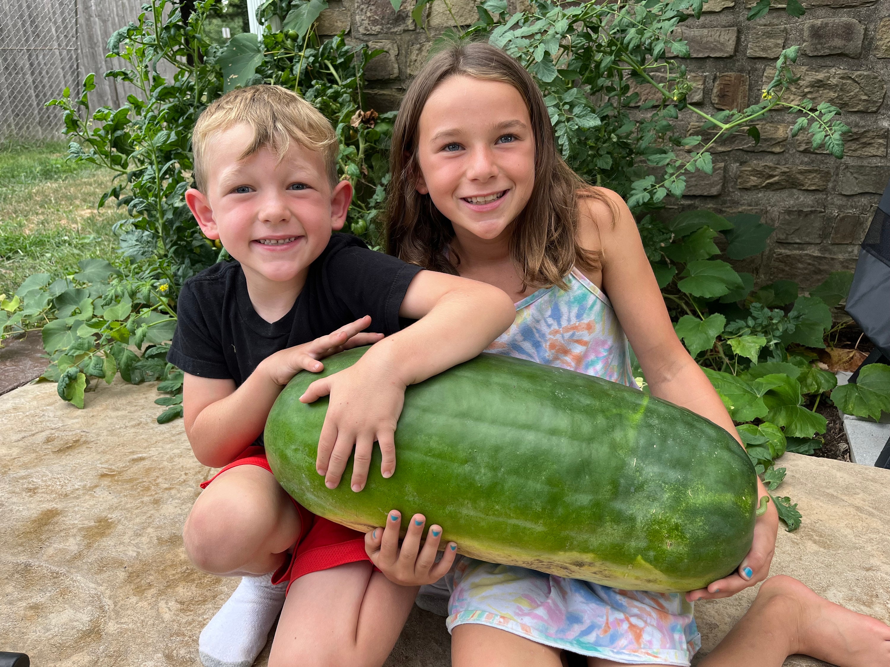 Bradford Watermelon Seed Packet Super Sweet Southern Heirloom Etsy