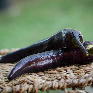 Peut inclure: Deux aubergines violettes foncées à la surface humide et brillante, reposant sur une surface en osier tressé.