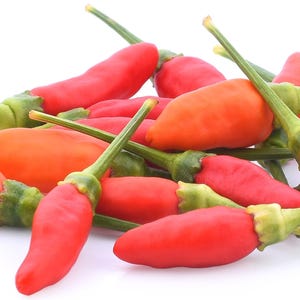 Afrikansk fågelöga Piri-piri Peri Peri Chile Heirloom Pepper Premium Fröpaket