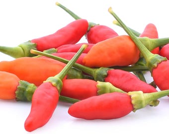 African Bird's Eye Piri-piri Peri Peri Chili Heirloom Pepper Premium Seed Packet