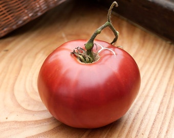 Purple Cherokee Heirloom Tomato Premium Seed Packet