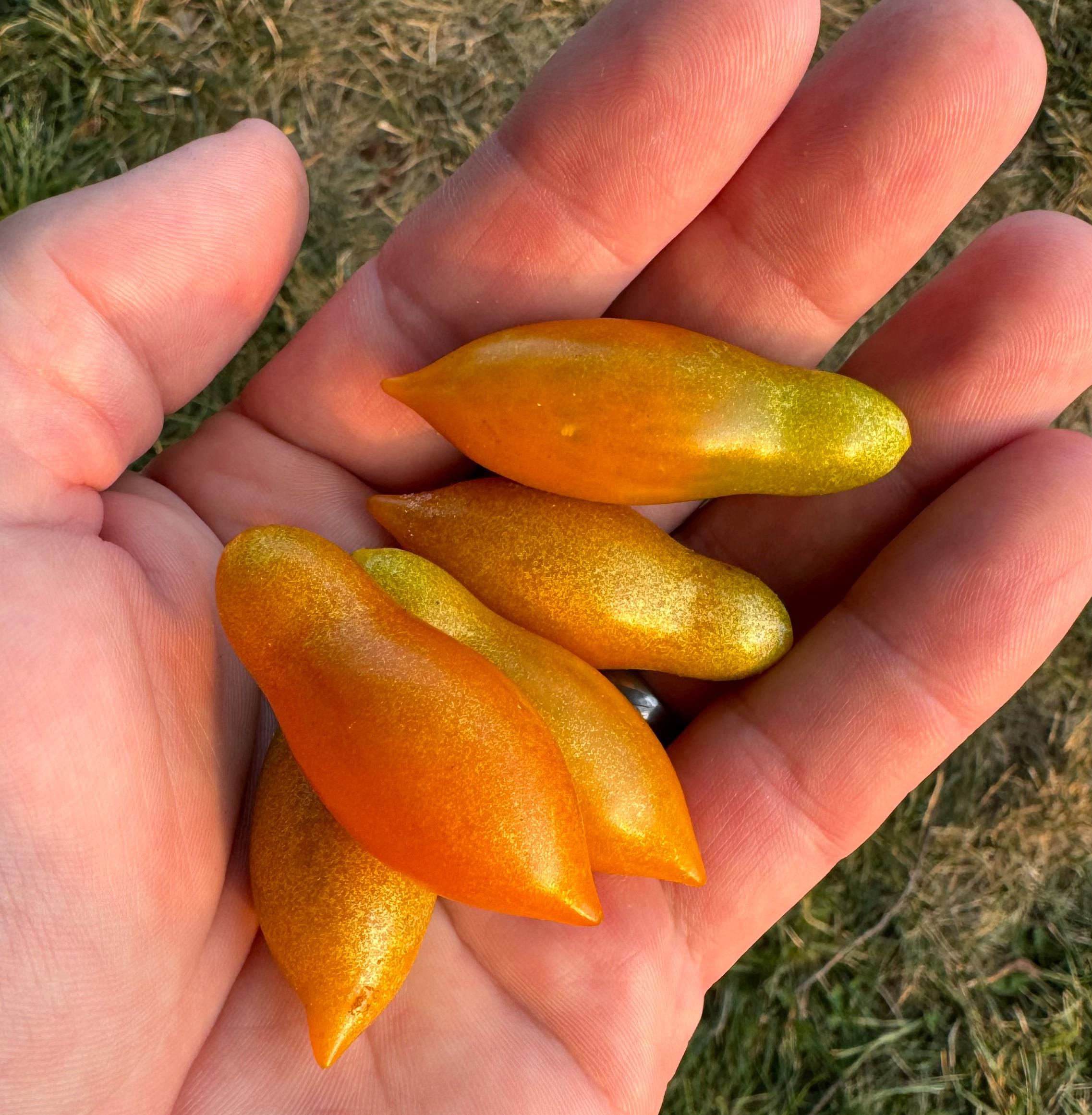 Golden Baby San Marzano Heirloom Tomato Premium Seed Packet - Etsy