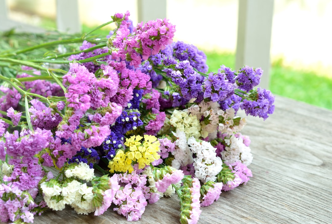 Semi Statice Color Pastello - Miscuglio Di 100 Semi Per Fiori Secchi - Foto 6