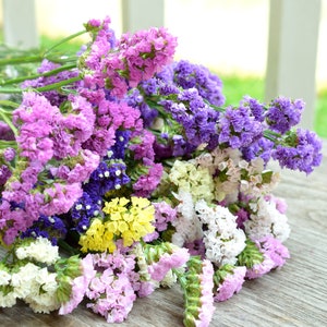 May include: A bouquet of dried flowers in shades of purple, pink, white, and yellow. The flowers are arranged in a loose, natural style and have a rustic, vintage feel.