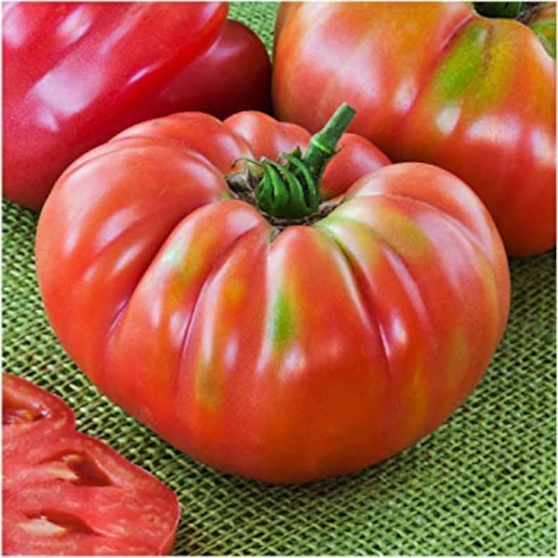 German Johnson Heirloom Tomato Premium Seed Packet Etsy