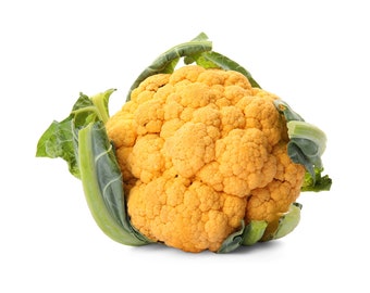 Cheddar Orange Cauliflower Premium Seed Packet Great for Kids!