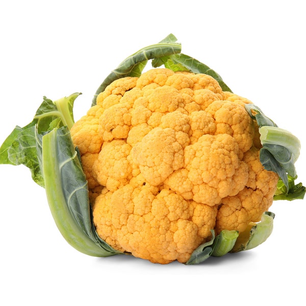 Cheddar Orange Cauliflower Premium Seed Packet Great for Kids!