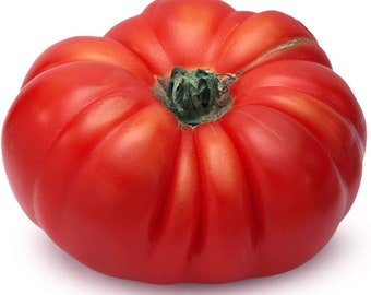 Cosmonaut Volkov Ukrainian Heirloom Tomato Premium Seed Packet