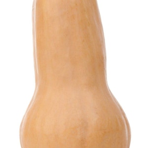 Op de afbeelding: Een butternut squash, een soort winterpompoen, met een gladde, lichtoranje schil. De pompoen heeft de vorm van een peer met een ronde bodem en een smalle nek.