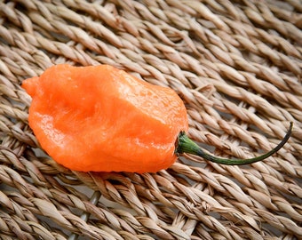 May include: A vibrant orange Carolina Reaper pepper with a textured surface and a green stem. The pepper is set against a woven, light brown background, showcasing its unique shape and color. This image highlights the pepper's fresh, natural appearance.