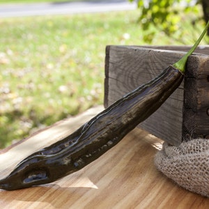 Aji Panca Peruvian Chili Heirloom Pepper Premium Seed Packet