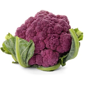 Purple Graffiti Cauliflower Premium Seed Packet Great for Kids!