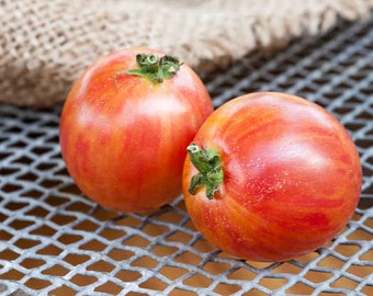 Opakowanie nasion pomidora Pink Bumblebee Heirloom Premium