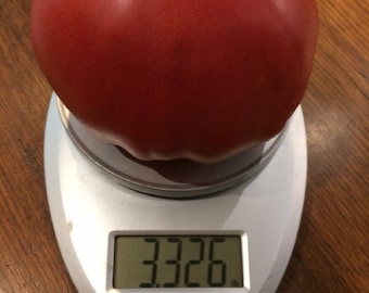 Big Zac World Record Largest Heirloom Tomato Premium Seed Packet