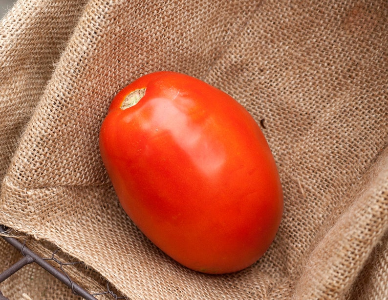 Romeo Roma Huge Italian Paste Heirloom Tomato Premium Seed Etsy