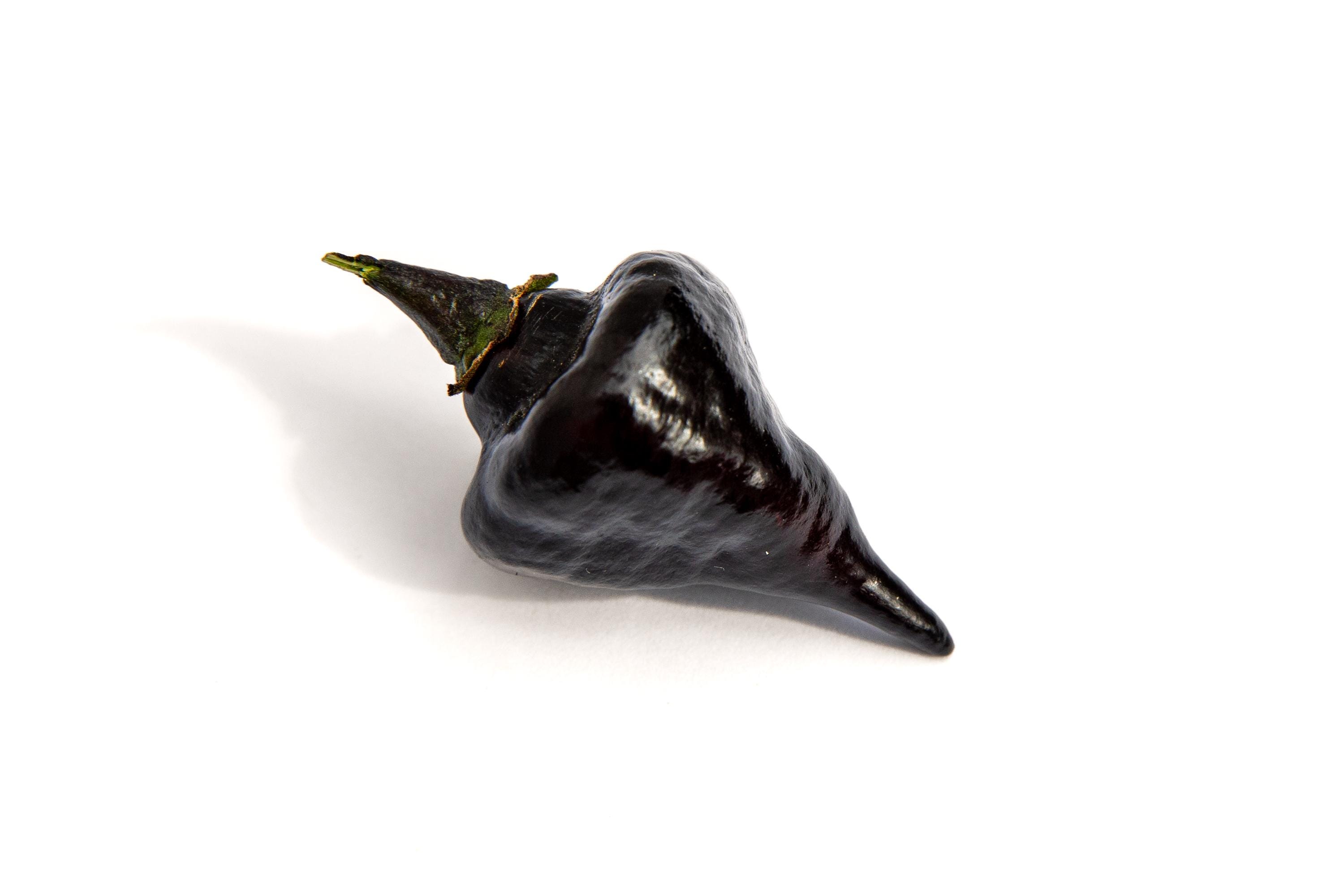 Black Biquinho Chupetinho Heirloom Little Beak Pickling Pepper Premium Seed Packet