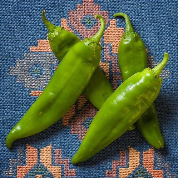 Newmex 64 New Mexico Chile Hot Pepper Premium Seed Packet + More