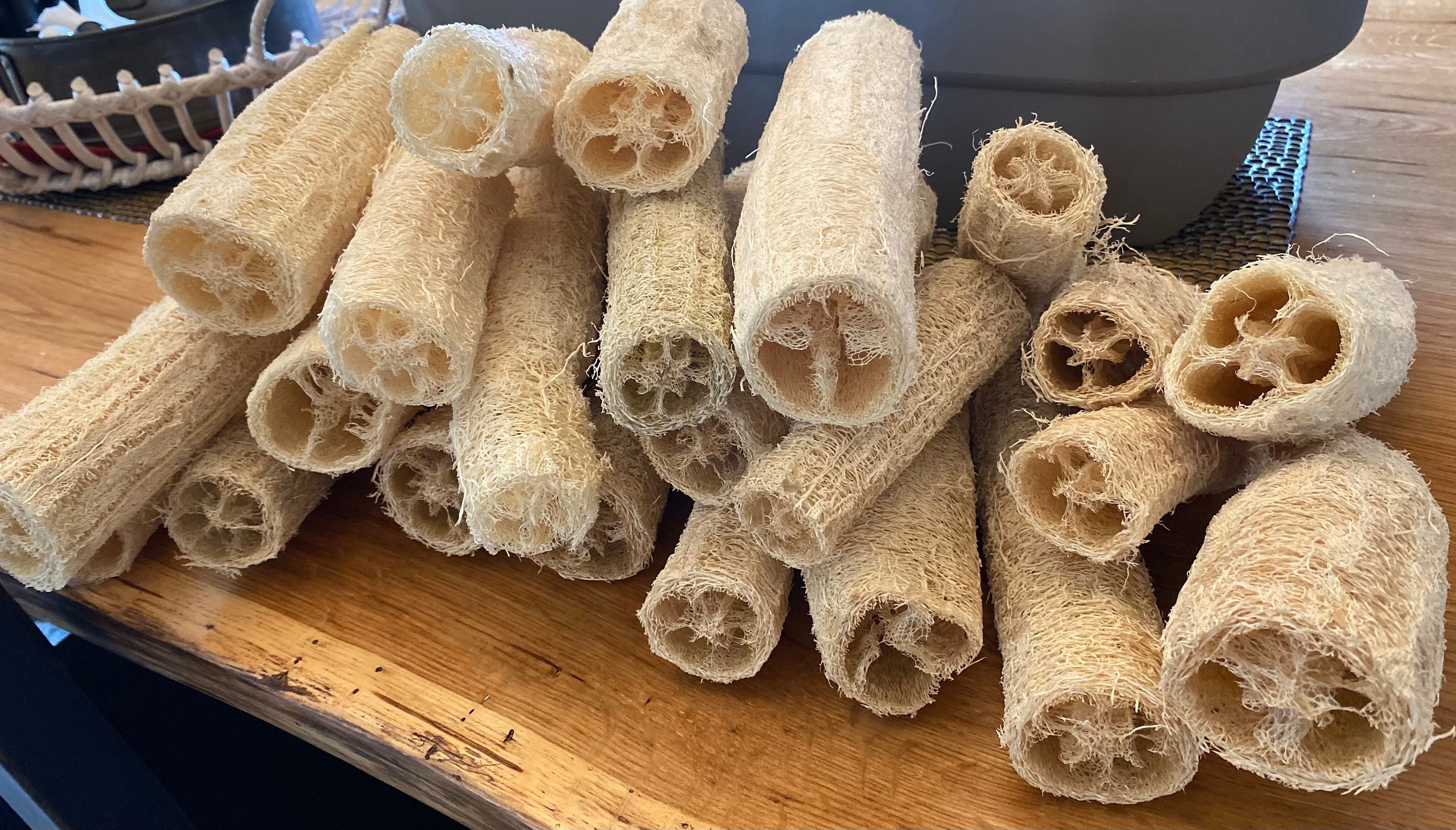 Luffa Acutangula Sponge Angled Chinese Okra Ridged Gourd Sinkwa