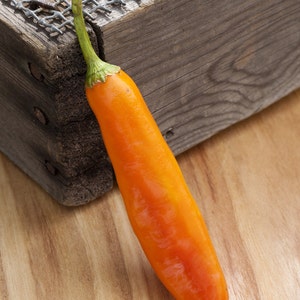 May include: A bright orange chili pepper with a green stem, resting on a wooden surface.
