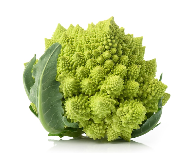 Green Fractals Romanesco Cauliflower Broccoli Premium Seed Packet Great for Kids Fibonacci Sequence image 1