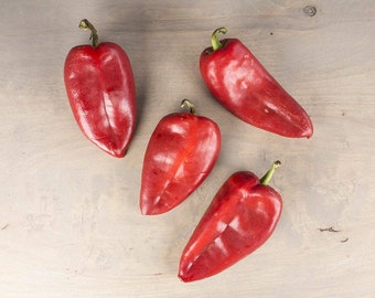 Orejas de elefante croata Slonovo Uvo Ajvar Reliquia Pimienta Premium Paquete de semillas + Más