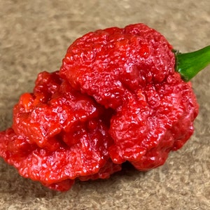 The Beast Red (Naga Brains x Carolina Reaper Cross) Ultrahot Pepper Premium Seed Packet